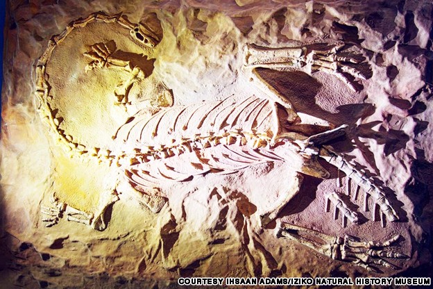 10 viện bảo t&agrave;ng khủng long r&ugrave;ng rợn nhất